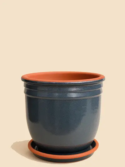 Antrasit Sırlı Saksı No 2 Ø20cm -  Saksilar - Lalezar Botanik